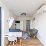 Rent 1 bedroom apartment in Berlin