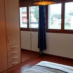 3½ room apartment in Steinen (SZ), furnished, temporary