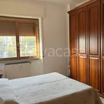 Rent 2 bedroom apartment of 52 m² in Milano