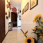 Rent 3 bedroom apartment of 60 m² in Massa