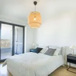 Rent 1 bedroom apartment of 60 m² in rome