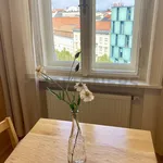 Rent 1 bedroom apartment of 59 m² in Brno