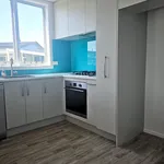 Rent 3 bedroom house in Tauranga