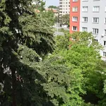 Rent 2 bedroom apartment of 56 m² in Capital City of Prague