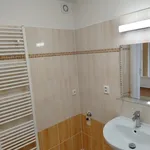 Pronajměte si 2 ložnic/e byt o rozloze 55 m² v Prague