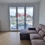 Rent 2 bedroom apartment of 60 m² in Busto Arsizio