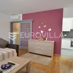 Najam 1 spavaće sobe stan od 54 m² u Rovinj