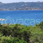 Rent 2 bedroom apartment of 42 m² in Arzachena