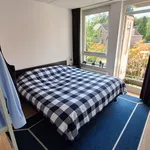 Huur 2 slaapkamer appartement van 55 m² in 's-Hertogenbosch