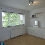 Rent 3 bedroom house in East Midlands