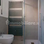 Rent 2 bedroom apartment of 50 m² in Bologna