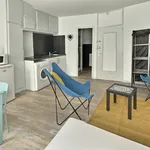 Appartement de 24 m² avec 1 chambre(s) en location à Laplume