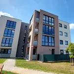 Rent 4 bedroom apartment of 87 m² in plzen