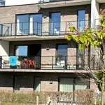 Rent 2 bedroom apartment in RONSE