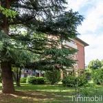 Rent 2 bedroom apartment of 54 m² in Verona