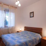 Rent 3 bedroom apartment of 60 m² in Follonica