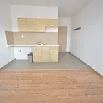 Rent 1 bedroom apartment in Sokolov