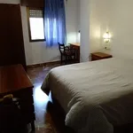 Rent 2 bedroom apartment in Granada