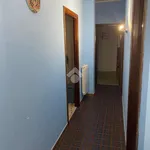 Rent 3 bedroom apartment of 1 m² in Roma