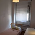 Rent a room in lisbon