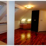 Rent 2 bedroom apartment of 55 m² in Kladno