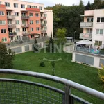 Rent 2 bedroom apartment of 60 m² in Pardubice