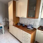 Rent 1 bedroom apartment of 48 m² in Cinisello Balsamo