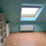 Huur 3 slaapkamer huis van 365 m² in Leuven