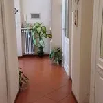 Rent 2 bedroom apartment of 80 m² in Biella