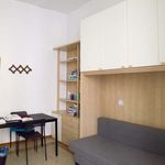 Rent a room of 80 m² in Roma