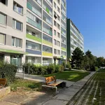 Pronajměte si 3 ložnic/e byt o rozloze 85 m² v Prague