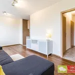 Pronajměte si 2 ložnic/e byt o rozloze 48 m² v Prague