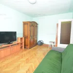 Rent 1 bedroom apartment of 28 m² in Timișoara