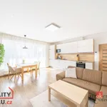 Rent 2 bedroom apartment of 67 m² in Pilsen