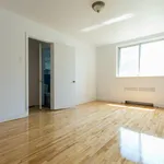  appartement avec 1 chambre(s) en location à Montreal