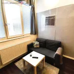 Rent 1 bedroom apartment in Trhový Štěpánov