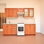 Rent 1 bedroom apartment of 32 m² in Praha