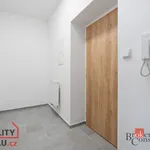 Pronajměte si 1 ložnic/e byt o rozloze 53 m² v Pilsen