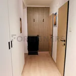 Rent 1 bedroom apartment of 49 m² in Pilsen