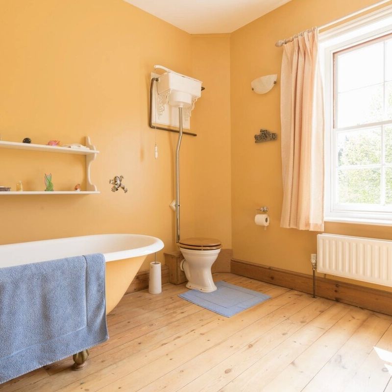Beautiful home, spacious room (Has a House) Meeting House Hill