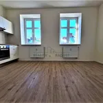 Rent 1 bedroom apartment of 19 m² in Brno