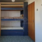 Rent 1 bedroom house in Frýdek - Místek