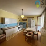 Pronajměte si 1 ložnic/e dům o rozloze 222 m² v Blansko