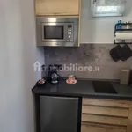 Rent 1 bedroom apartment of 25 m² in Turin