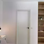 Rent 1 bedroom apartment in Madrid