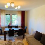 Rent 2 bedroom apartment of 70 m² in Karlsruhe