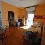 Rent 2 bedroom apartment of 65 m² in Monza