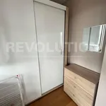 Rent 2 bedroom apartment of 65 m² in Каменица 1