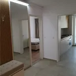 Rent 2 bedroom apartment of 61 m² in Brasov