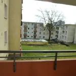 Rent 3 bedroom apartment of 67 m² in Remscheid